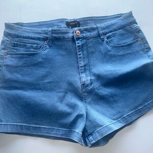 Forever 21 Blue 20 Shorts